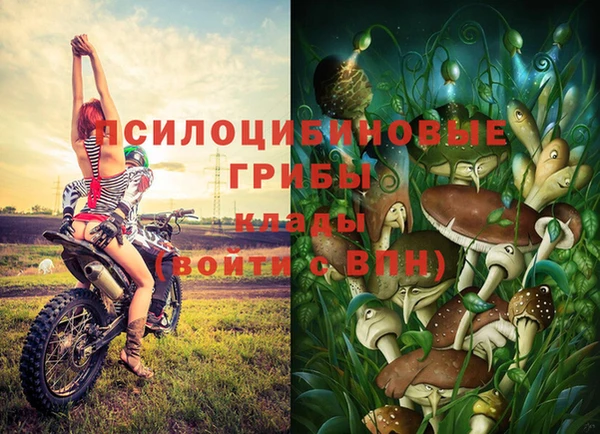 mix Новозыбков