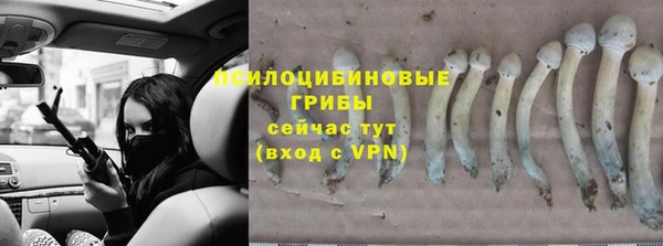 мдма Нефтекумск