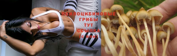 бутират Новодвинск
