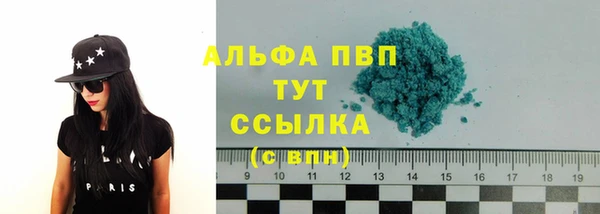 ПСИЛОЦИБИНОВЫЕ ГРИБЫ Новокубанск