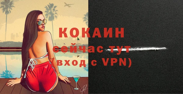 ПСИЛОЦИБИНОВЫЕ ГРИБЫ Новокубанск