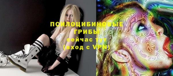 mix Новозыбков